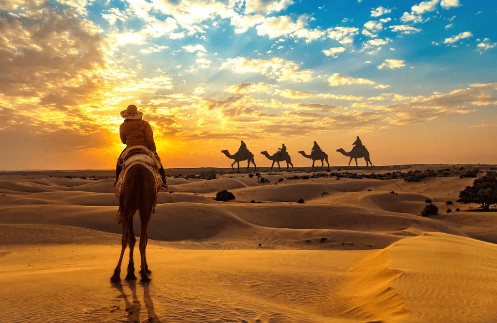 Camel safari in Jaisalmer